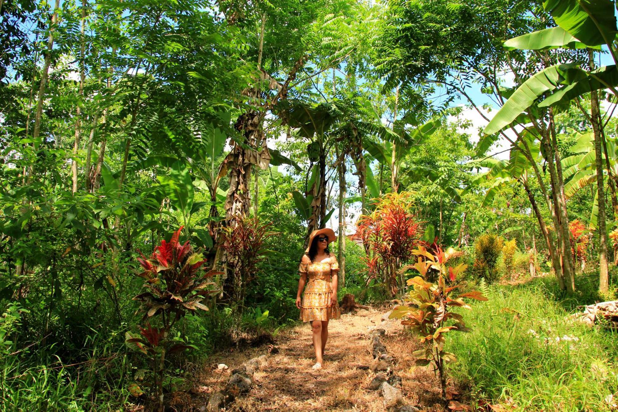 Natura Gardens Galapagos Bellavista (Santa Cruz) Exterior foto